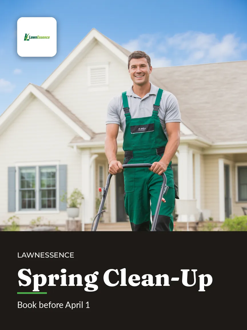LawnEssence — Printed flyer: SPRING CLEAN-UP